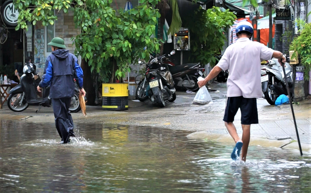  Clip: Người Đà Nẵng thích thú mang rổ ra đường phố bắt cá sau bão số 5 - Ảnh 6.