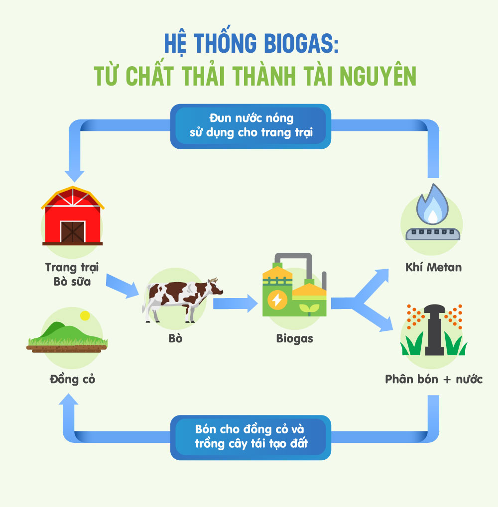 Định vị thương hiệu của Vinamilk và những bài học rút ra