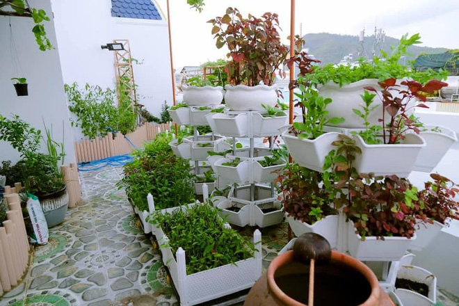 Bí ẩn chủ biệt thự phủ gỗ 