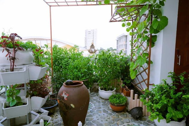 Bí ẩn chủ biệt thự phủ gỗ 