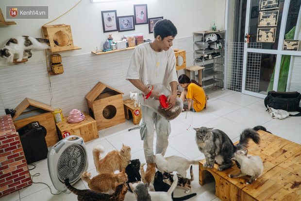 Chàng trai 24 tuổi bỏ công việc ổn định để cứu trợ mèo, mái ấm của các bé mèo lên hãng thông tấn AFP của Pháp - Ảnh 2. Chàng trai 24 tuổi bỏ công việc ổn định để cứu trợ mèo, mái ấm của các bé mèo lên hãng thông tấn AFP của Pháp - Ảnh 2.