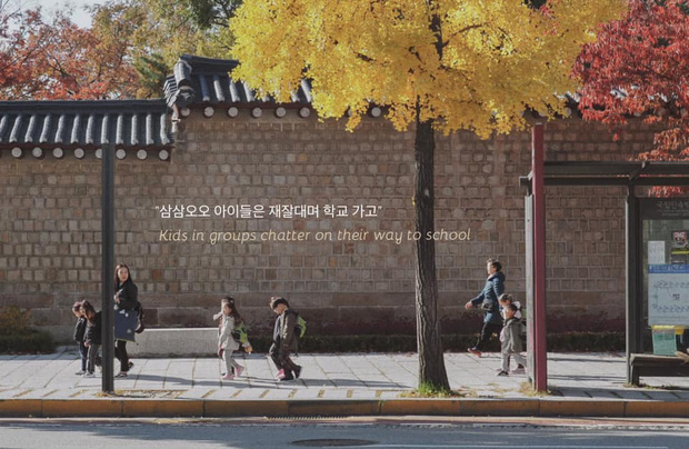 Bộ ảnh xem xong trào dâng thương nhớ Seoul: Đã đến mùa nơi này đẹp nhất, nhưng năm nay ta không thể gặp nhau - Ảnh 7.
