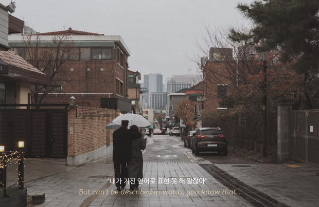 Bộ ảnh xem xong trào dâng thương nhớ Seoul: Đã đến mùa nơi này đẹp nhất, nhưng năm nay ta không thể gặp nhau - Ảnh 10.