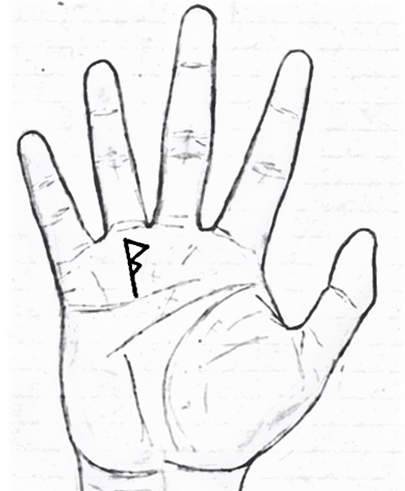  Nếu lòng bàn tay có một trong những dấu hiệu sau, cuộc đời sớm muộn cũng thăng hạng  - Ảnh 2.