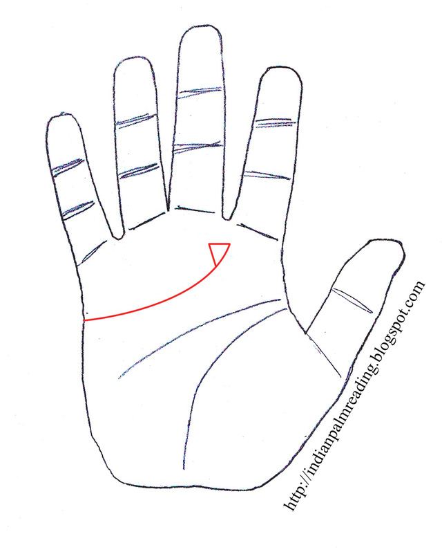  Nếu lòng bàn tay có một trong những dấu hiệu sau, cuộc đời sớm muộn cũng thăng hạng  - Ảnh 4.