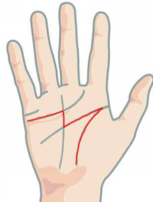  Nếu lòng bàn tay có một trong những dấu hiệu sau, cuộc đời sớm muộn cũng thăng hạng  - Ảnh 6.