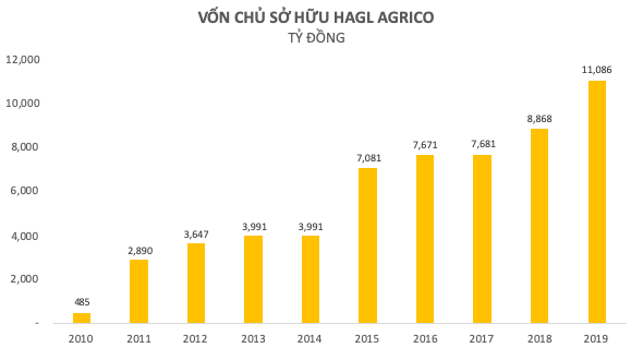  Nhìn lại một thập niên đầy thăng trầm của HAGL Agrico  - Ảnh 1.