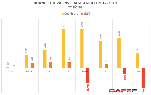  Nhìn lại một thập niên đầy thăng trầm của HAGL Agrico  - Ảnh 2.