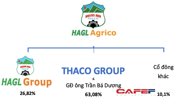  Nhìn lại một thập niên đầy thăng trầm của HAGL Agrico  - Ảnh 4.