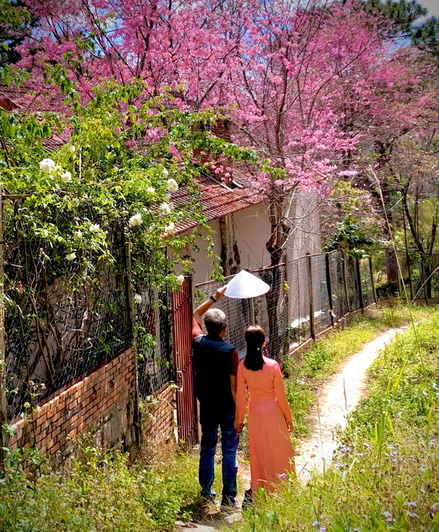 Leaving Saigon, the couple went to Da Lat to build a house facing the valley, looking at the beautiful fairy-tale garden of cherry blossoms - Photo 3.