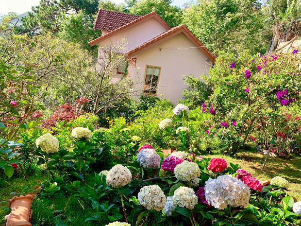 Leaving Saigon, the couple went to Da Lat to build a house facing the valley, looking at the beautiful fairy-tale garden of cherry blossoms - Photo 5.