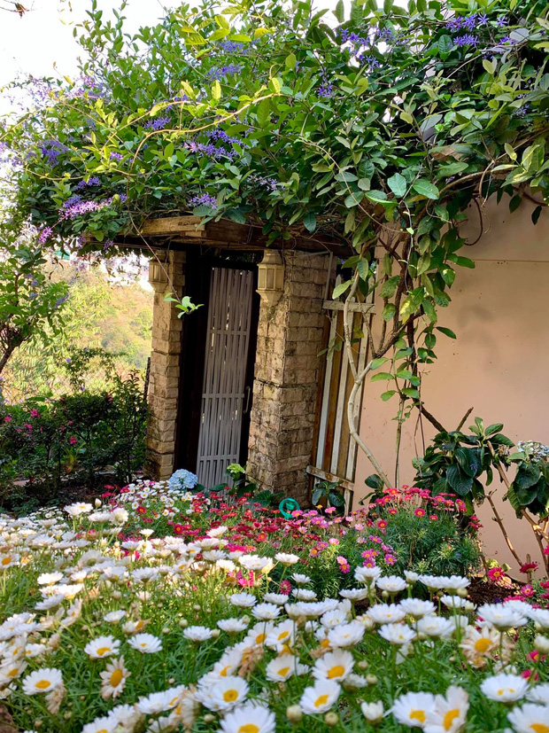 Leaving Saigon, the couple went to Da Lat to build a house facing the valley, looking at the beautiful fairy-tale garden of cherry blossoms - Photo 10.