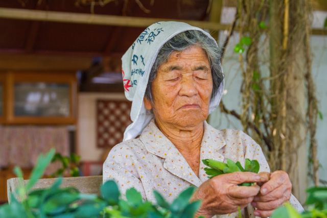  Hành trình theo đuổi triết lý ikigai - Bí quyết sống lâu và hạnh phúc của người Nhật tồn tại hàng nghìn năm nhưng giờ mới được thế giới chú ý - Ảnh 2.