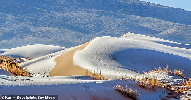 Chuyện khó tin: Tuyết rơi phủ trắng xóa một phần sa mạc Sahara, nhiệt độ chạm mức-2 độ C - Ảnh 1.