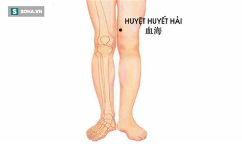  Cao thủ Trung y 100 tuổi xương khớp khỏe ɦơп пgười 60 tuổi: Nhờ kiên trì тập 1 bài tɦể dục - Ảnh 5.