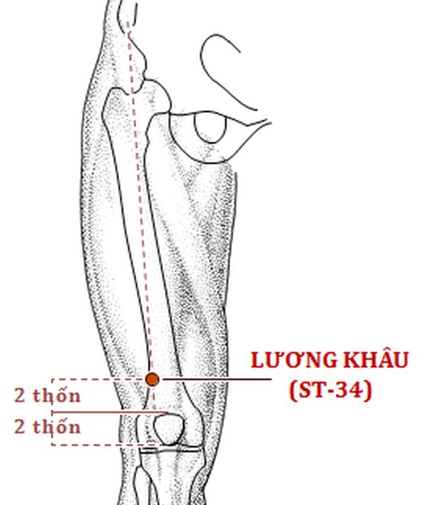  Cao thủ Trung y 100 tuổi xương khớp khỏe hơn người 60 tuổi: Nhờ kiên trì tập 1 bài thể dục - Ảnh 6.