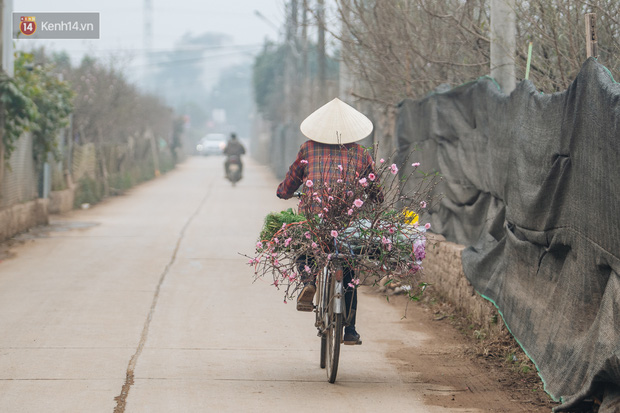 Ảnh: Trời lạnh sương mờ, làng đào Nhật Tân khoe sắc, đúng là Tết đang đến rất gần rồi! - Ảnh 9.