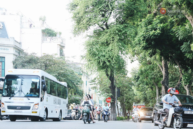 Nóng: Quảng Ninh tạm dừng hoạt động vận tải khách đường bộ, đường thuỷ - Ảnh 1.