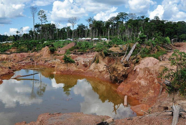  Tương lai u ám của rừng Amazon: Chuyên gia nhận định một phần khu rừng đang trên đà sụp đổ không thể cứu vãn  - Ảnh 1.