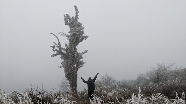 Sáng nay đỉnh Mẫu Sơn, Phia Oắc cây cối đóng băng, nhiều du khách thích thú chụp ảnh check in - Ảnh 14.
