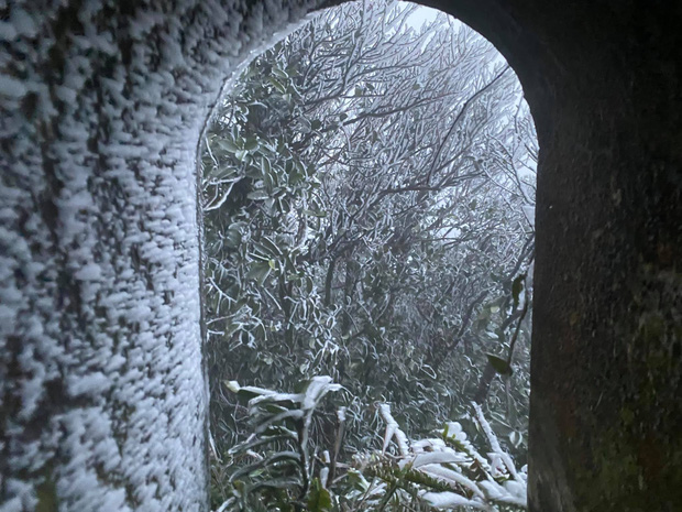 Sáng nay đỉnh Mẫu Sơn, Phia Oắc cây cối đóng băng, nhiều du khách thích thú chụp ảnh check in - Ảnh 4.