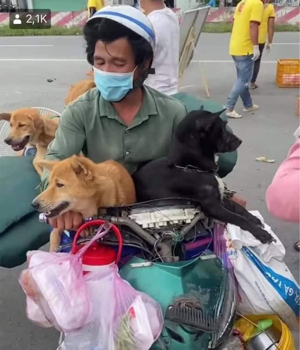 Đôi vợ chồng chở 15 chú chó theo về quê bị tiêu hủy: Thương chúng như con, làm được 250k thì dành 100k mua thức ăn cho chúng - Ảnh 2. Đôi vợ chồng chở 15 chú chó theo về quê bị tiêu hủy: Thương chúng như con, làm được 250k thì dành 100k mua thức ăn cho chúng - Ảnh 2.