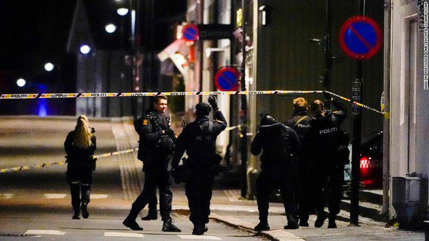  Na Uy: Rúng động vì 5 người bị bắn chết bằng cung tên - Ảnh 2.