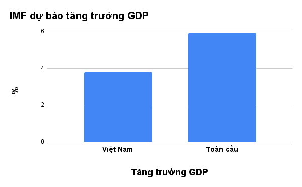  IMF hạ dự báo tăng trưởng GDP Việt Nam 2021 xuống còn 3,78%  - Ảnh 3.