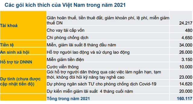  Nhìn lại quy mô các gói kích thích kinh tế của Việt Nam so với GDP năm 2021  - Ảnh 3.