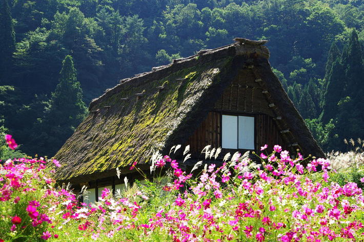 Ngôi nhà Nhật bình yên với thiết kế sân vườn thông minh  ALONGWALKER
