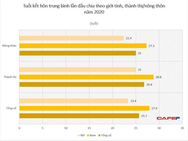 Phát hiện mới trong thống kê giới Việt Nam 2020: Người dân ở vùng nào dễ ế nhất? - Ảnh 2.