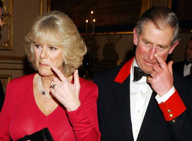 Tiết lộ động thái côn đồ của bà Camilla đối với Công nương Diana trước hôn lễ với Thái tử Charles - Ảnh 5.
