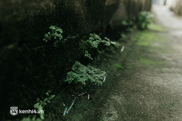Ảnh: Một căn nhà hoài niệm ở Sài Gòn đẹp ngẩn ngơ tới nỗi khiến người ta phải thốt lên 10 cái chung cư cũng không sánh bằng - Ảnh 2. Ảnh: Một căn nhà hoài niệm ở Sài Gòn đẹp ngẩn ngơ tới nỗi khiến người ta phải thốt lên 10 cái chung cư cũng không sánh bằng - Ảnh 2.
