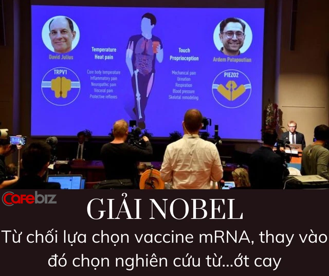 Bất ngờ: Giải Nobel từ chối vinh danh vaccine mRNA của Pfizer/Moderna, chê rằng chẳng có gì mới - Ảnh 1.