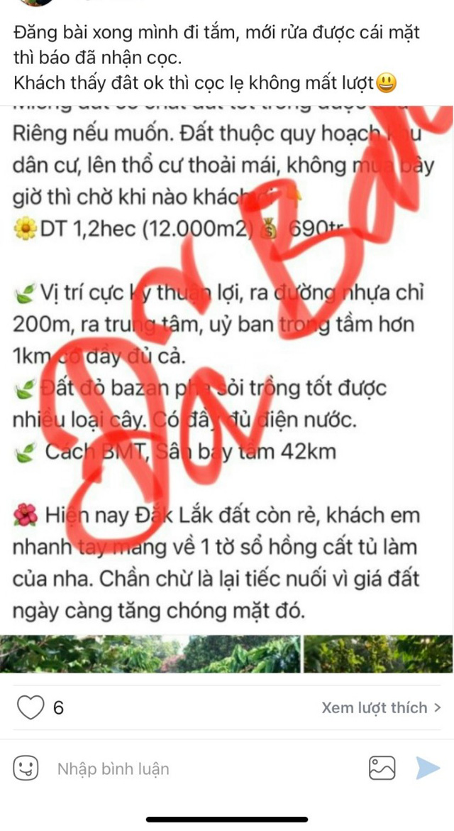  Dịch căng thẳng tại các TP lớn, đất quê bỗng nóng bỏng tay: Vài trăm triệu mua cả ngàn m2, chưa kịp rao đã có người cọc  - Ảnh 1.