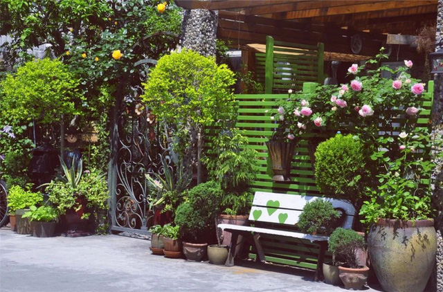 Hãy đến với những căn nhà vườn xinh tại Việt Nam để khám phá và thưởng ngoạn những tiểu cảnh đẹp mắt trong không gian xanh tươi tắn. Đó là nơi lý tưởng để bạn thoát khỏi cuộc sống nhộn nhịp và bận rộn trong thành phố để thư giãn và đắm chìm trong thiên nhiên tươi đẹp.