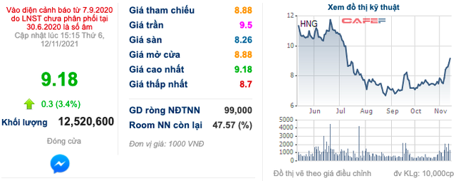 Cổ phiếu HAG liên tục tăng trần, bầu Đức đã bỏ túi thêm hơn 800 tỷ chỉ sau nửa tháng - Ảnh 1.