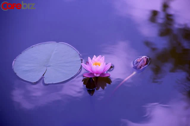 Nôn nóng là cội nguồn của thất bại: Câu chuyện ‘Tiểu hòa thượng bán đá’ sẽ giúp bạn nhìn thấu nhân sinh - Ảnh 1. Nôn nóng là cội nguồn của thất bại: Câu chuyện ‘Tiểu hòa thượng bán đá’ sẽ giúp bạn nhìn thấu nhân sinh - Ảnh 1.