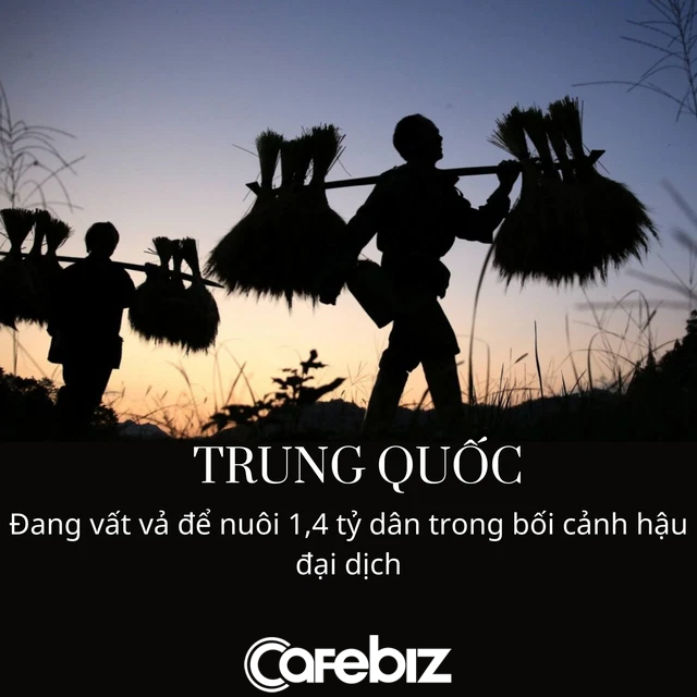 Trung Quốc chật vật nuôi 1,4 tỷ dân: Nhập khẩu mọi thứ từ ngũ cốc tới ngô, chỉ 1 khuyến nghị tích trữ nhu yếu phẩm cũng có thể gây nên cơn hoảng loạn sợ đói - Ảnh 3.