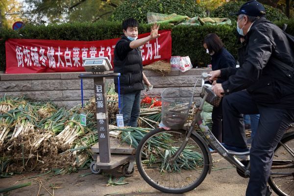 Bắp cải ‘cháy hàng’, giá tăng gấp 3 lần vẫn đắt khách ở Trung Quốc - Ảnh 3.