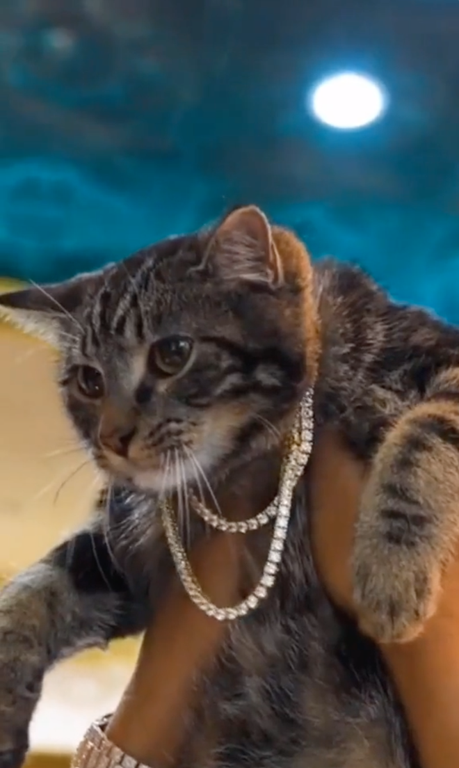 Khoa Pug vs Johnny Đặng ai giàu hơn? Người mạnh miệng xem 30 tỷ chỉ là rác, người đem kim cương - xe xịn - tiền ra give away cho vui - Ảnh 23.