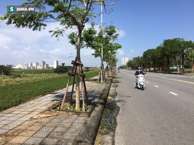  2 khu đất vàng khiến giám đốc công ty bất động sản tự tử tại toà hiện có giá bao nhiêu? - Ảnh 3.