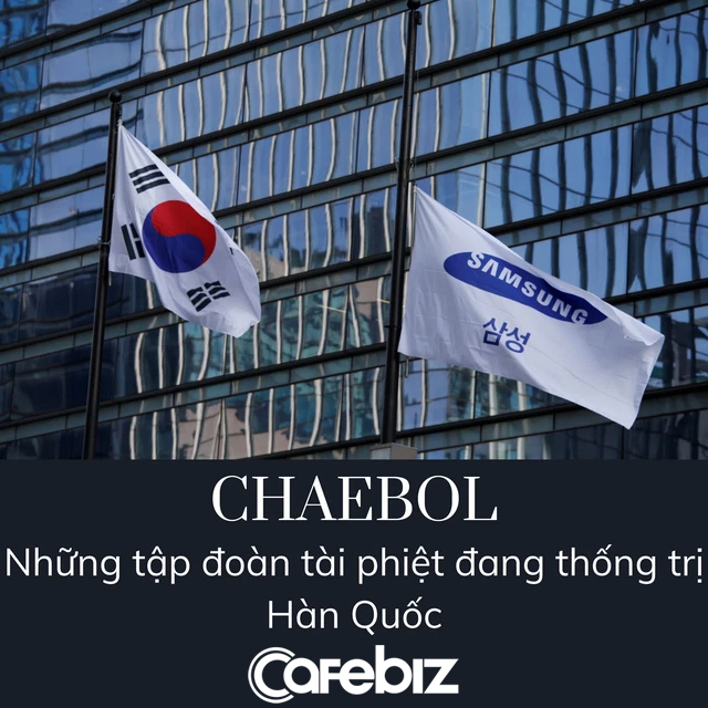 Chaebol - Những tập đoàn tài phiệt thống trị Hàn Quốc: Doanh thu của riêng Samsung và Hyundai tương đương 20% GDP cả nước, chi phối toàn bộ nền kinh tế - Ảnh 3.