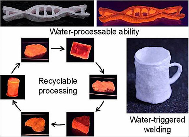  Các nhà khoa học ở Trung Quốc vừa sử dụng tinh trùng cá hồi để tạo ra nhựa DNA thân thiện với môi trường  - Ảnh 3.