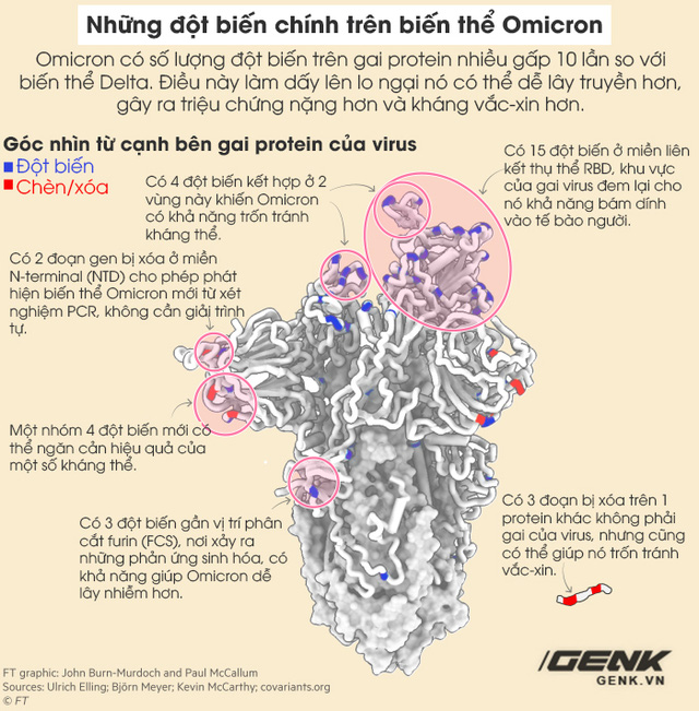  Giải mã biến thể Omicron: Góc nhìn từ những mã màu đột biến  - Ảnh 2.