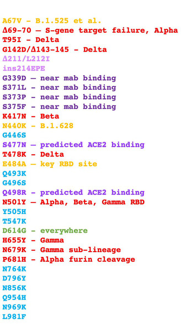  Giải mã biến thể Omicron: Góc nhìn từ những mã màu đột biến  - Ảnh 4.