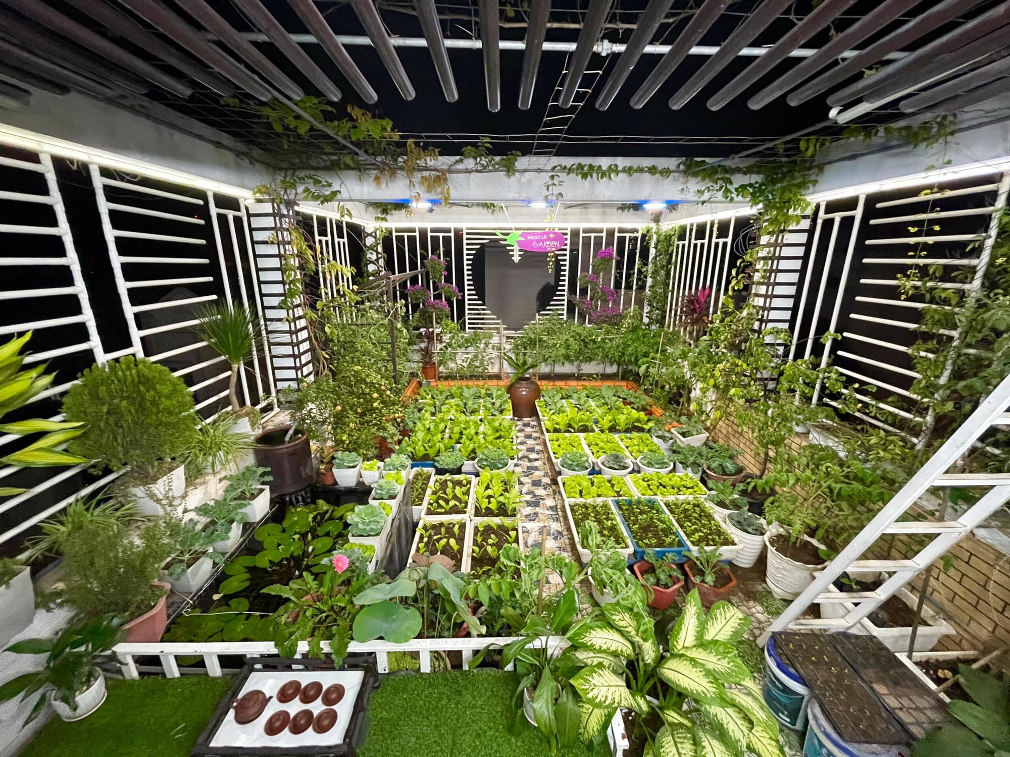 Khu vườn sân thượng: Không cần phải ra ngoài, bạn có thể sở hữu một khu vườn xanh mát ngay trên sân thượng của mình. Tận hưởng không gian sống trong lành và xanh tươi, tạo ra không gian thư giãn và giảm căng thẳng. Hãy dành chút thời gian để tạo ra một khu vườn sân thượng đẹp mắt, bạn sẽ tìm thấy sự thư thái và hạnh phúc của mình.