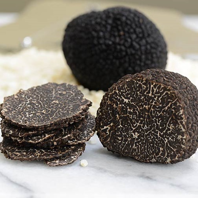 Lý do nào khiến nấm truffle siêu đắt đỏ, hầu như chỉ dành cho giới thượng lưu? - Ảnh 3.