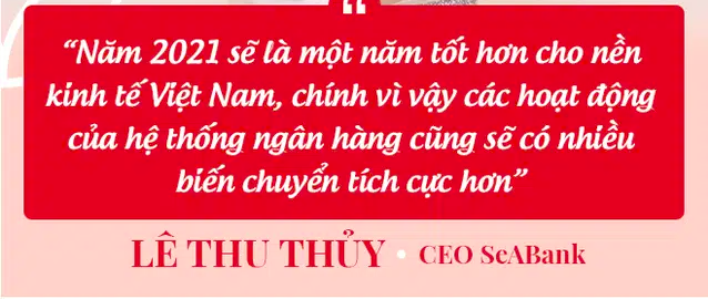  CEO SeABank Lê Thu Thủy: Sẽ có cuộc chạy đua gay gắt trong ngành ngân hàng năm 2021 - Ảnh 2.