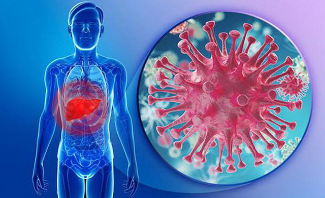  BS Việt Tại Mỹ: Virus này là kẻ giết người thầm lặng, hàng chục triệu người Việt mang  - Ảnh 1.